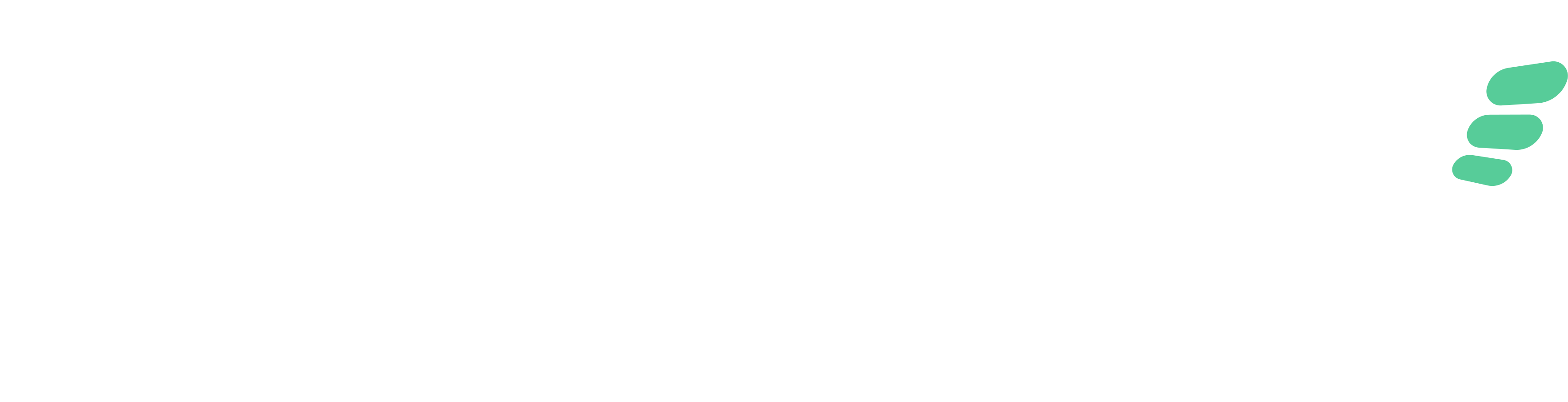 Official ChiroSpring logo